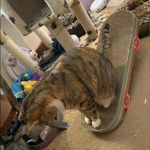 DOING TRICKS LOOK…CHECK ME OUT